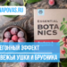 Мочегонный эффект и защита от микробов