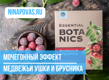 Мочегонный эффект и защита от микробов